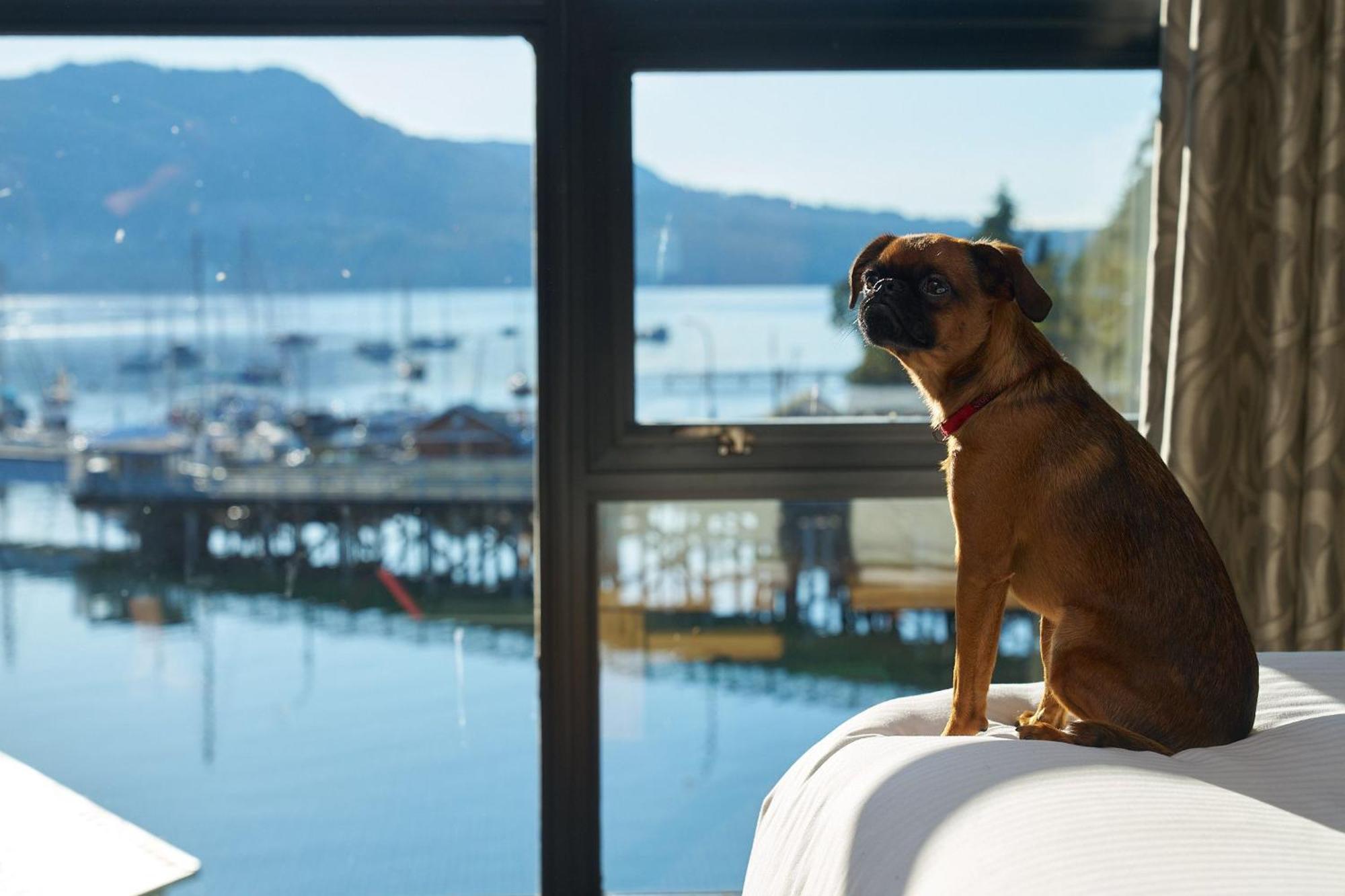Brentwood Bay Resort&Spa Exterior foto